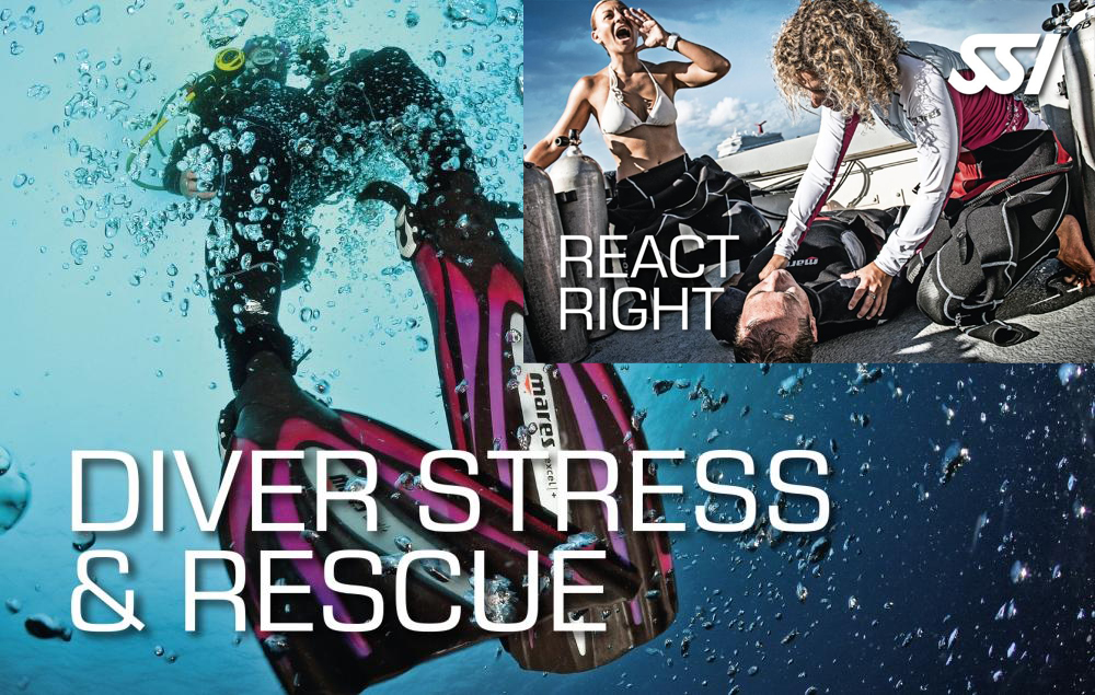 Pack Stress & Rescue + React Right
